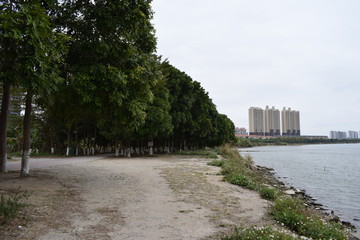 博罗县园洲海滨建筑绿化