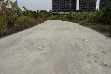 香蕉园泥路面