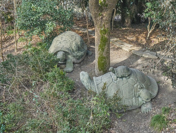 石雕乌龟