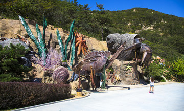 海洋生物浮雕墙
