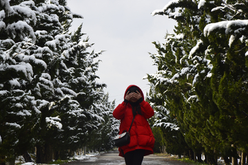 雪后道路