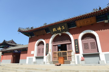 天津药王古寺 寺庙