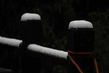江南的雪