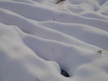 雪地