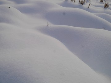 雪地