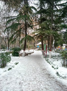 下雪天的公园小路