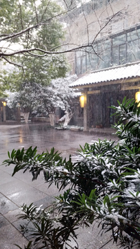雪景