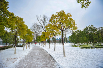 江湾体育公园雪景