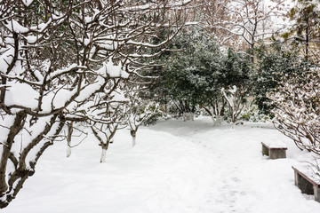 南京总统府雪景