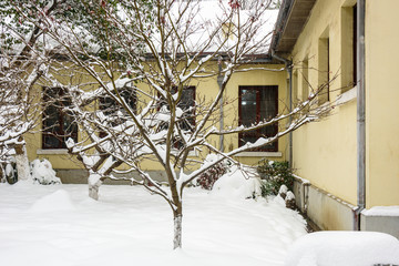 南京总统府雪景