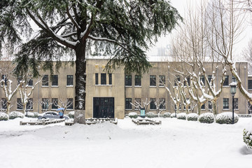 南京总统府行政院雪景