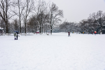 明孝陵景区雪景