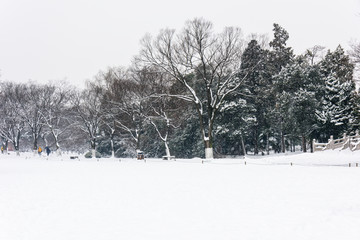 明孝陵景区雪景