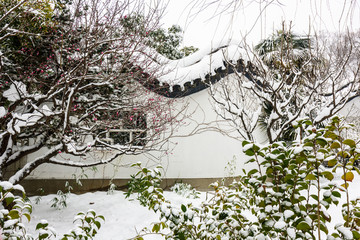 明孝陵景区雪景