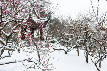 明孝陵景区雪景