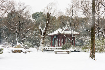 明孝陵景区雪景