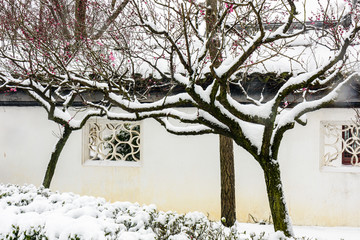 明孝陵景区雪景