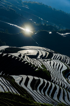 龙胜梯田