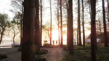 西湖边树林晨光