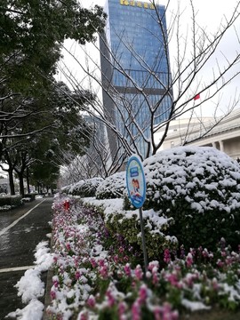 雪后的城市美景