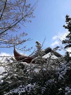 雪后的江南园林