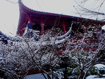 雪后园林景观