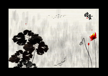 国画荷花