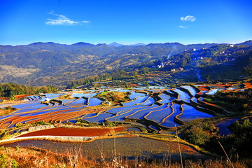 元阳梯田