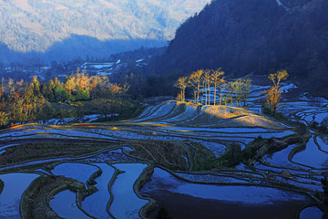 元阳梯田