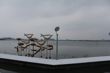 袍江洋泾湖公园雪景