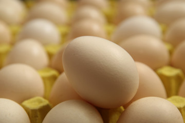 柴鸡蛋