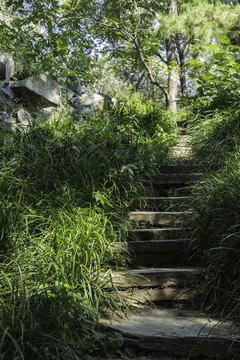 北海公园石梯