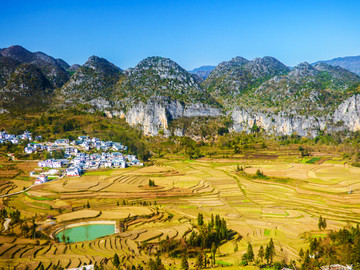 大山村庄