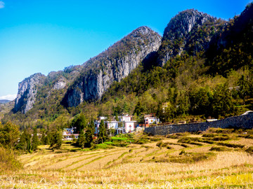 大山村庄