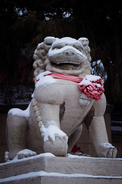 石狮 湛山寺 冬季 青岛风光