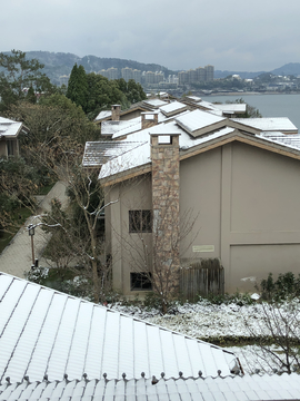 别墅区的雪