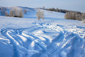 大兴安岭雪原森林