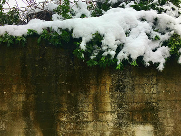 积雪
