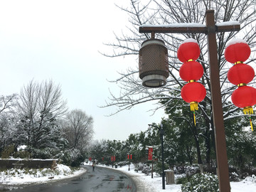 旅游景区
