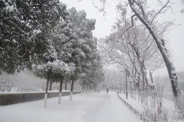 雪中的街道