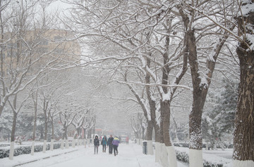 雪中的街道