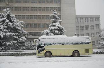 雪中的汽车