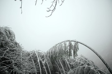 雪景