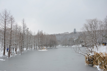 唯美冬日湖景