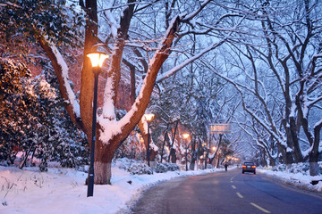 雪夜道路