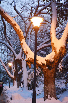 雪夜路灯