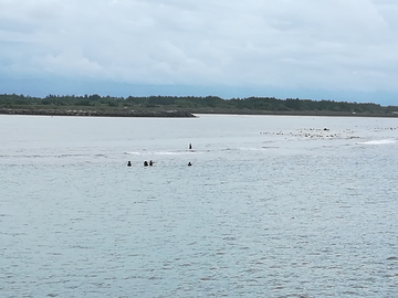 海边钓鱼