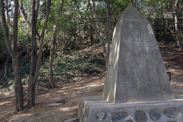 大蜀山阵地