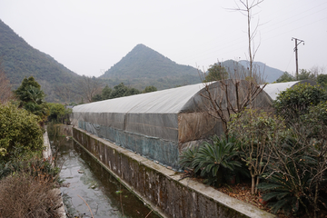 温室大棚种植基地 苗圃