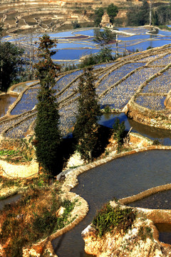 元阳梯田